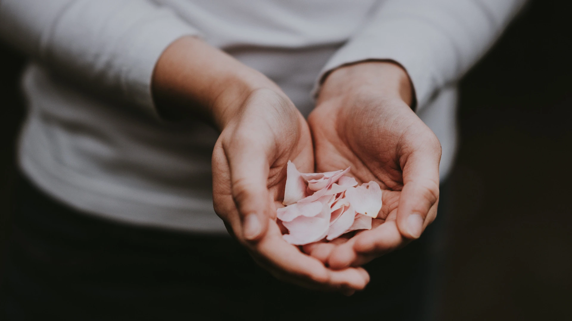 Online Giving